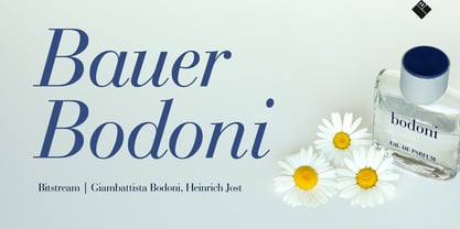 Bauer Bodoni Font Poster 1